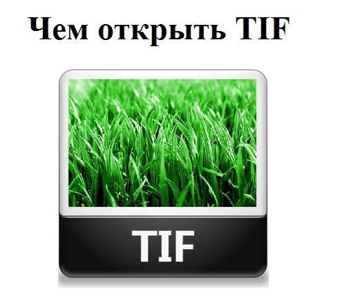 Как открыть файл TIF?