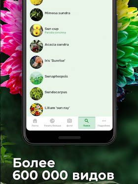 Определите фотографию растения онлайн