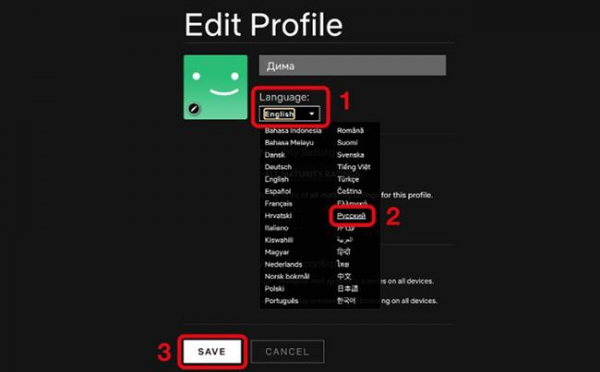 Как изменить язык Netflix на русский