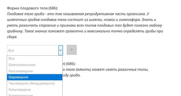 Как определить вид гриба по фотографии