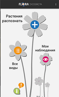 Определите фотографии растений онлайн