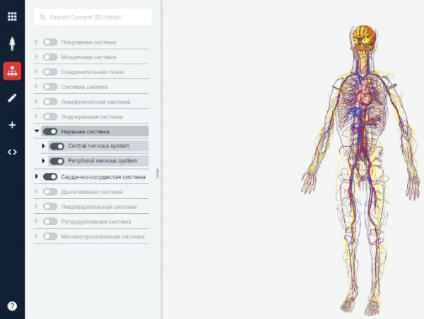 Онлайн 3D диаграммы анатомии человека