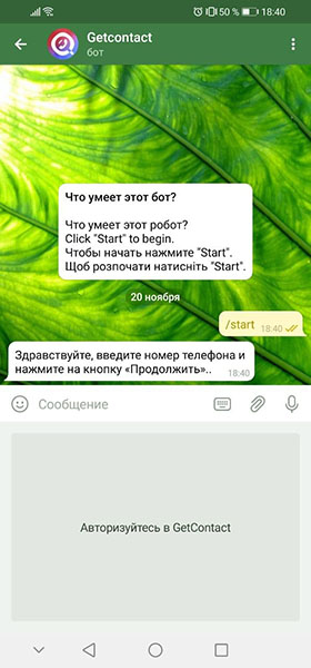 Telegram-боты с информацией о мужчинах